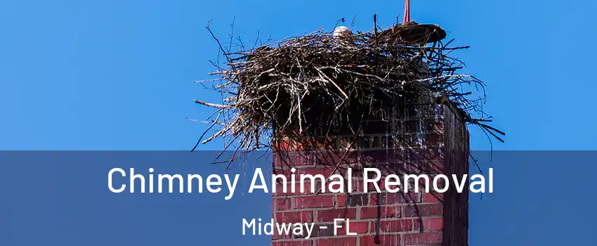  Chimney Animal Removal Midway - FL