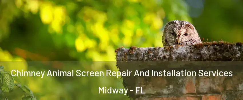  Chimney Animal Screen Repair And Installation Services Midway - FL